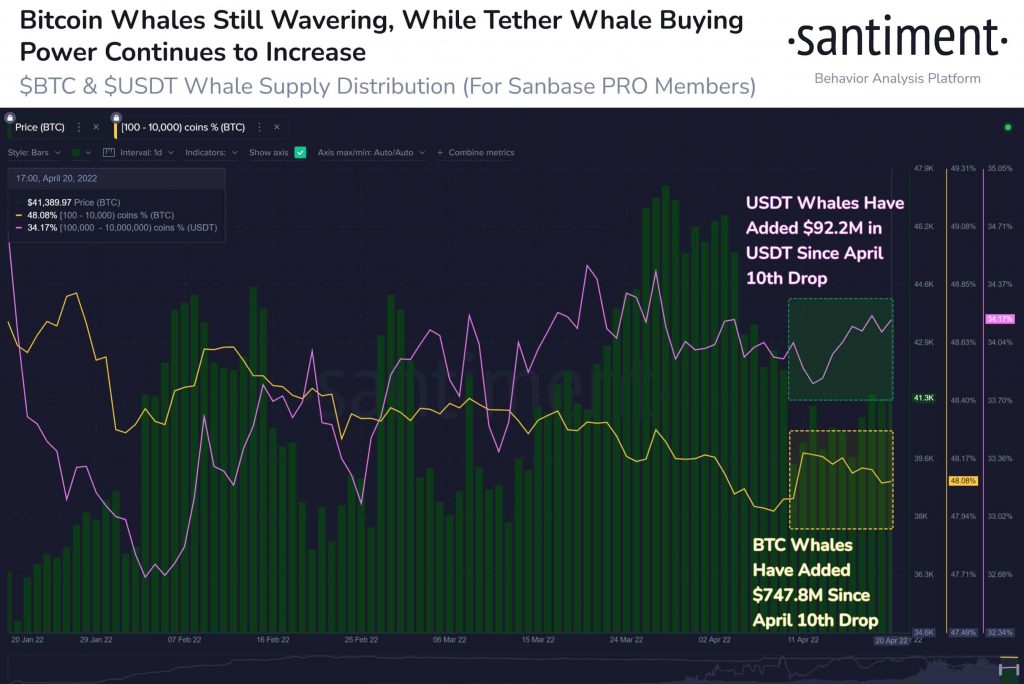 Bitcoin BTC whales buying