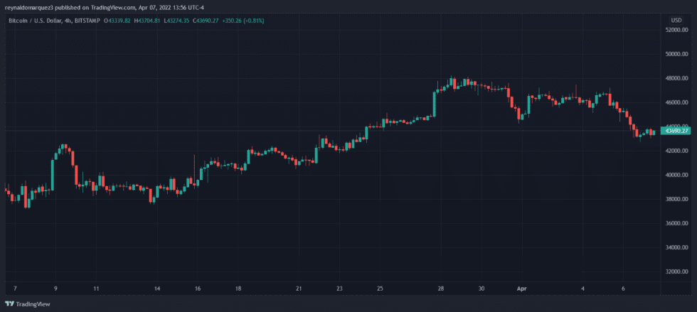 Bitcoin crypto BTC BTCUSD1 980x439 1