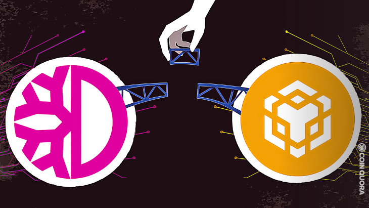 DeFiChain Bridge the New Bridge to Connect With BNB Chain