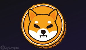 Dogecoin Creator Slams Shiba Inus Metaverse Claims Its A Sucky Cash Grab For Developers