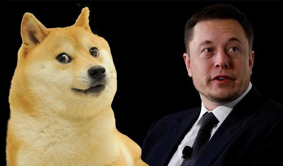 Dogecoin Elon Musk 1