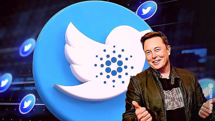 ELON MUSK BUILDING A CARDANO TWITTER