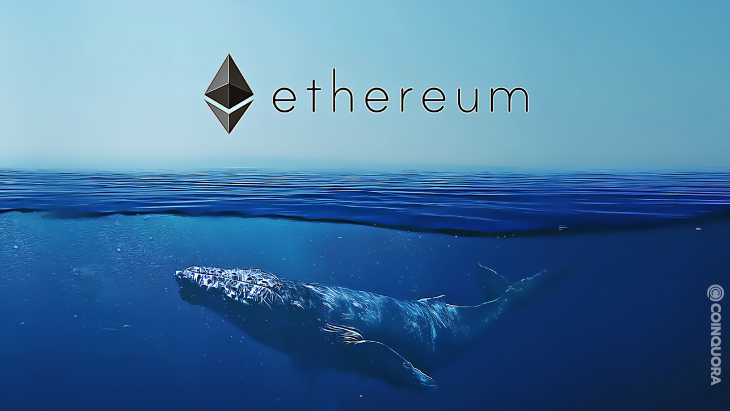 Eth Whales are accumulating altcoins