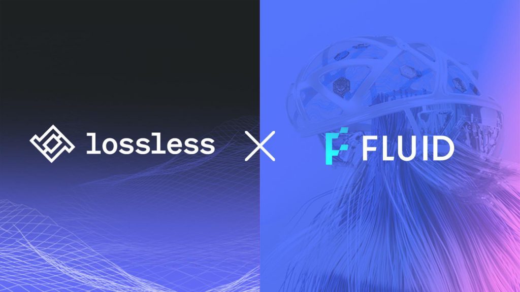 Fluid Lossless