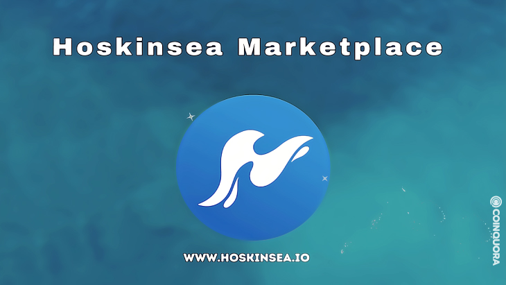 Hoskinsea Marketplace The Sundaeswap of Cardano NFTs and Digital Assets