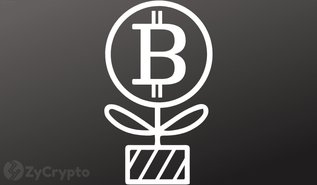 Miami Mayor Considers Investing In Bitcoin With Part Of Citys Treasury Reserves