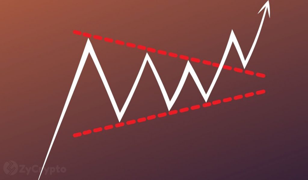 Three Arrows Capitals Su Zhu Reveals Bullish Stance On Polkadot Solana and Avalanche