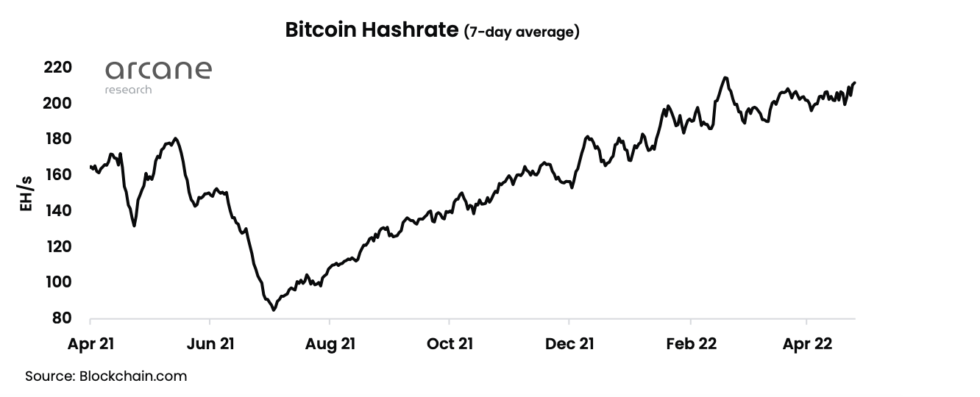 bitcoin on chain activity 980x397 1