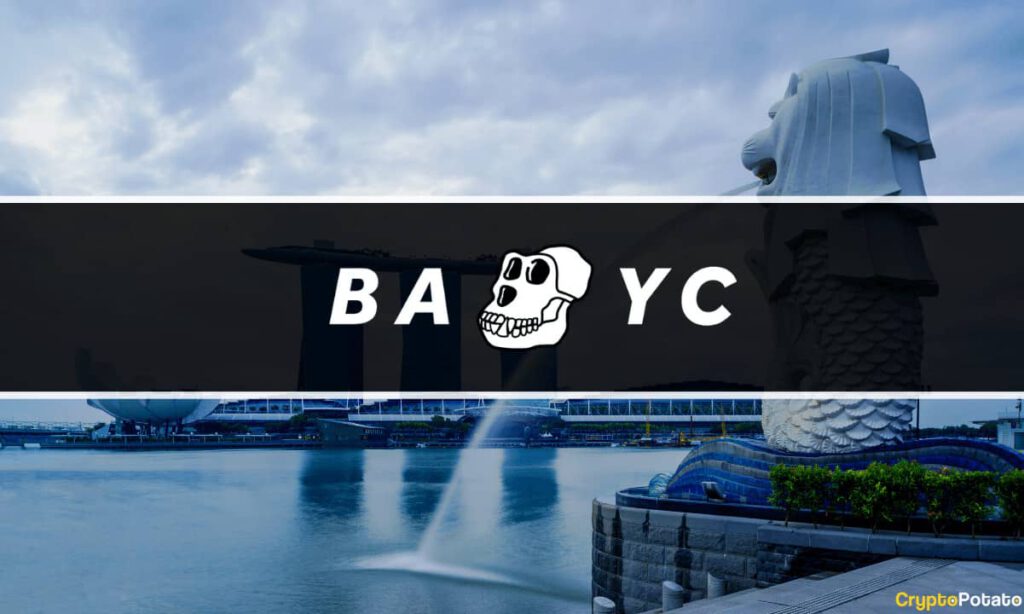 BAYC Singapore