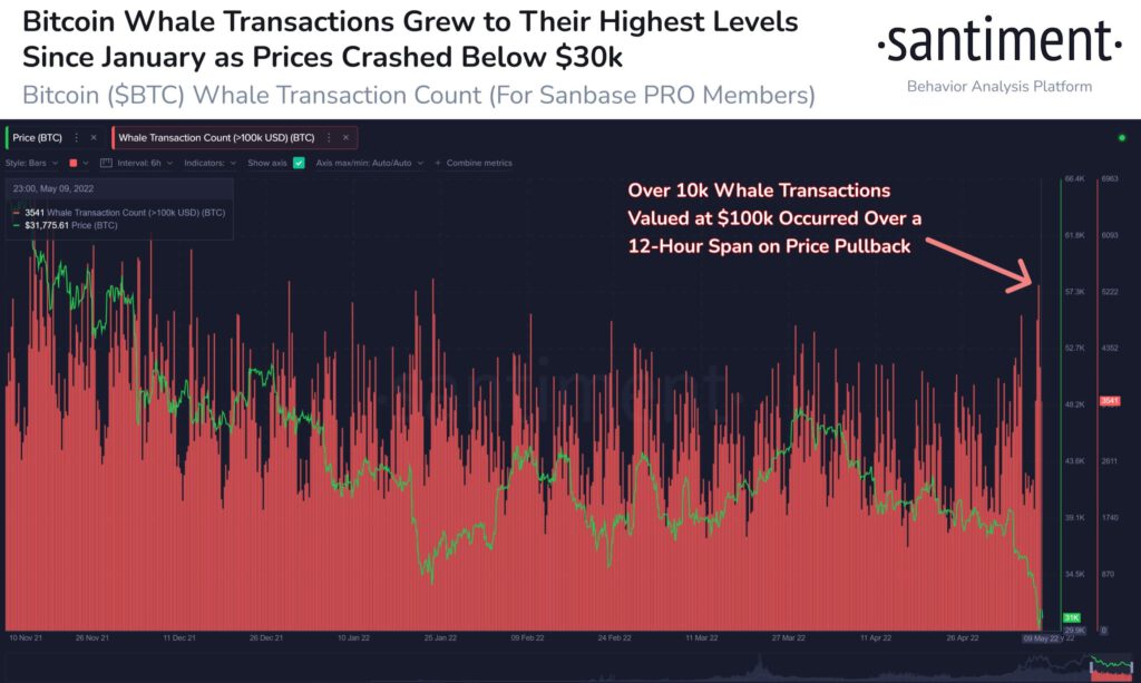 BTC whale