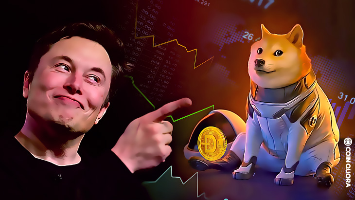 Elon Reaffirms Tesla Will Accept DOGE for Merch Payments