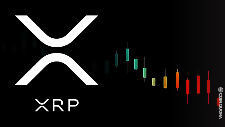 Investors Wonder How Much More XRP Price Will Fall