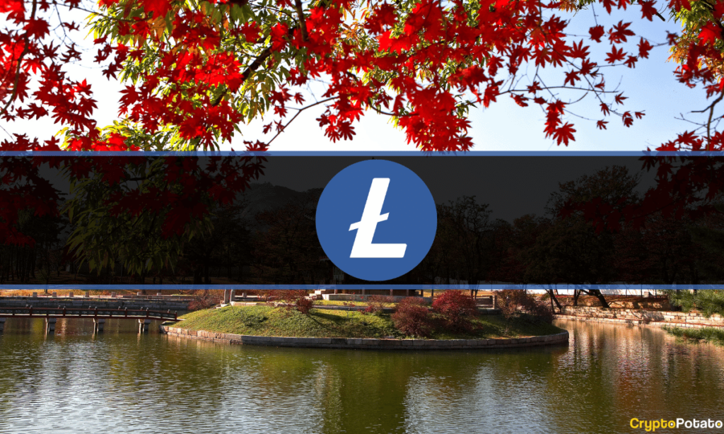 Litecoin Korea