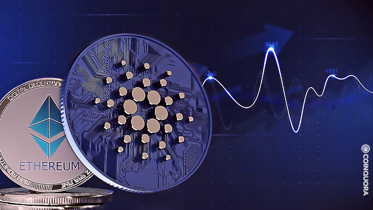 Many People are Migrating to Cardano Says Dan Gambardello