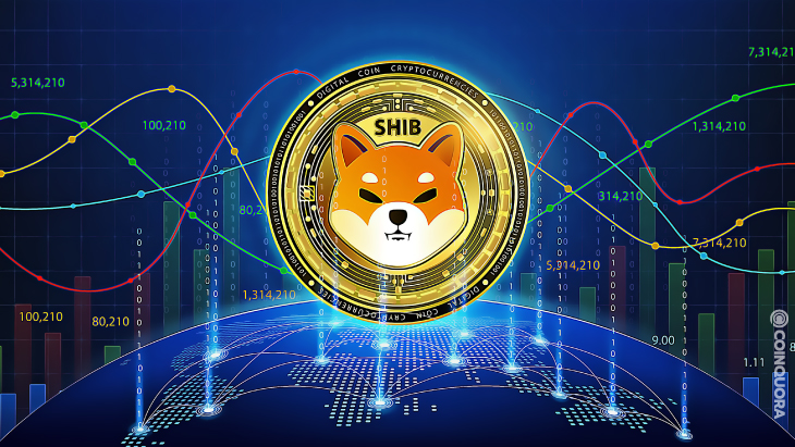 Shib raised up more than 20 when market is down 1