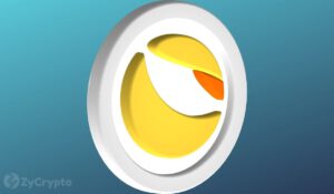 Was Terra Crashed Deliberately Citadel Securities Blackrock Gemini Deny Role In USTs Depeg