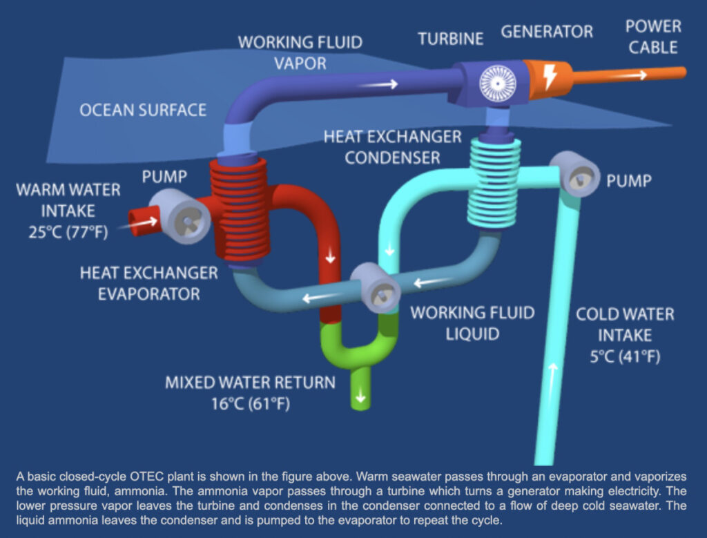 otec plant diagram