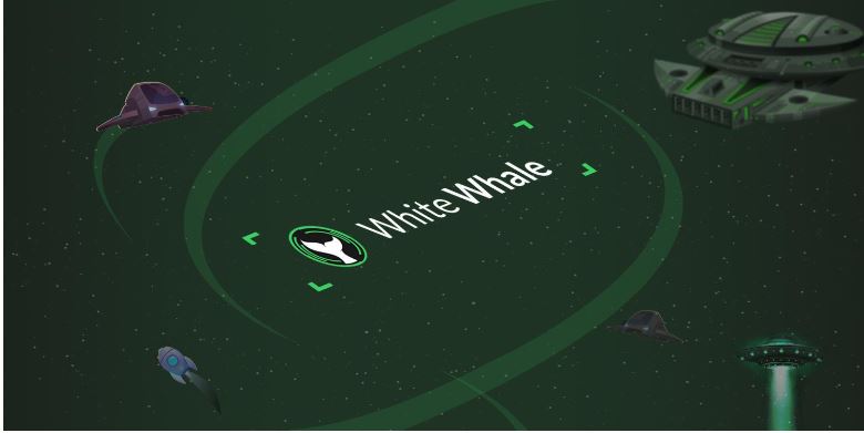 whitewhale