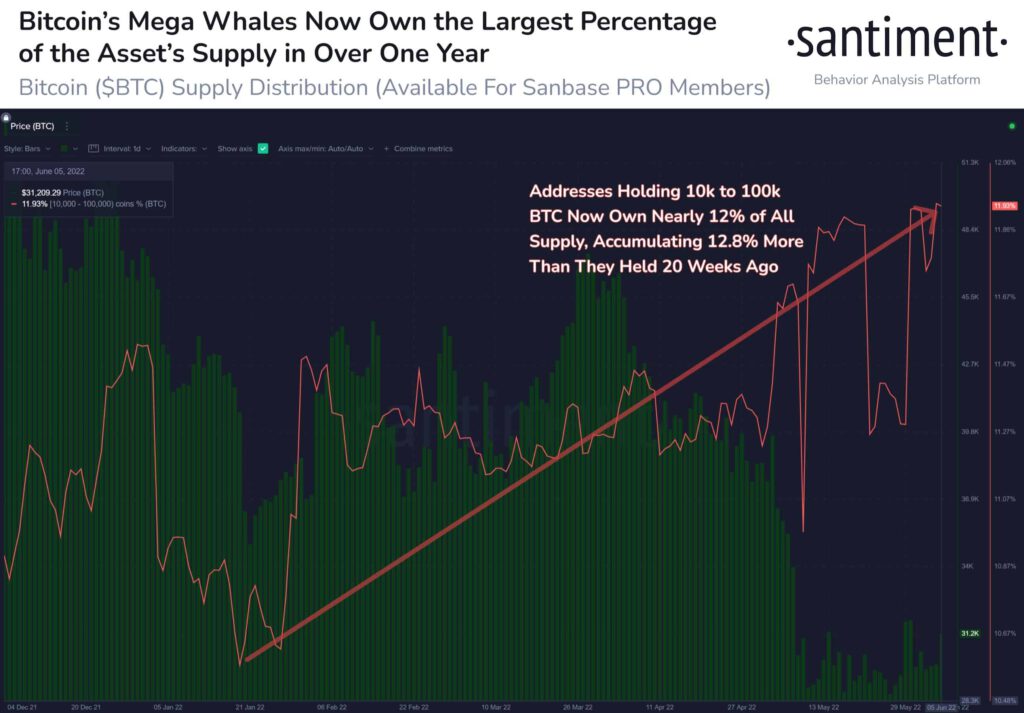 Bitcoin BTC Mega Whale Addresses