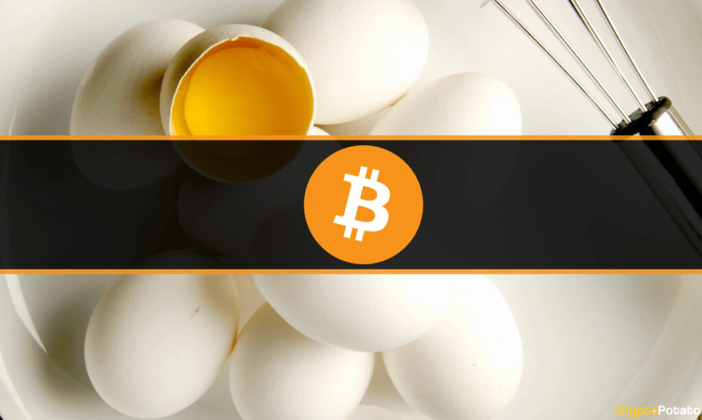 Bitcoin Eggs