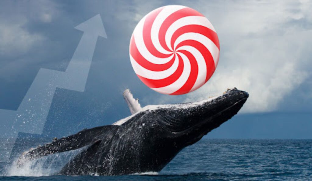 CANDYDEX Eyes Explosion As Whales Now Hold Over 23 Of CANDYDEX Tokens 1