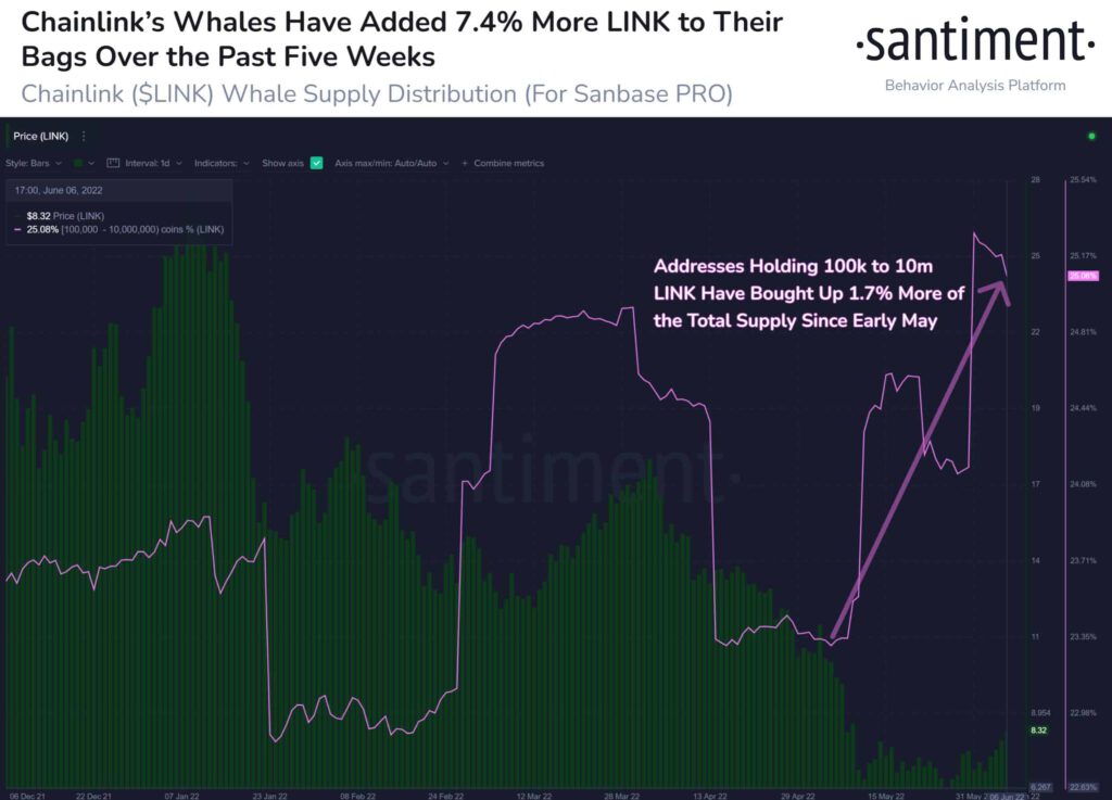 Chainlink LINK Whales