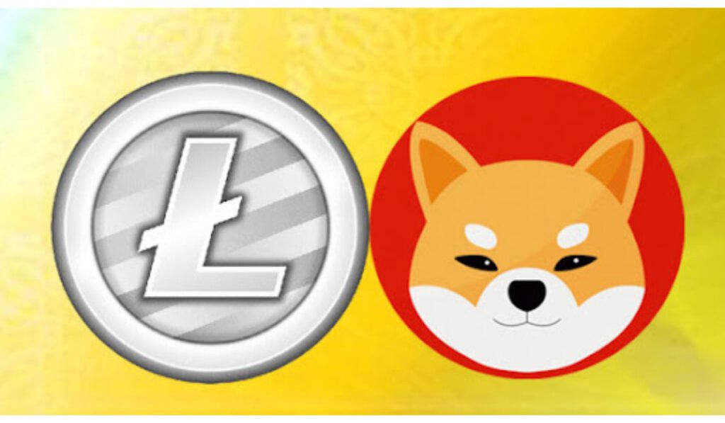 Could newcomer Gnox Token GNOX outperform Litecoin LTC and Shiba Inu SHIB