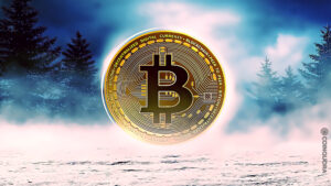 Crypto Winter is Coming Charting the Fall and Potential Return of