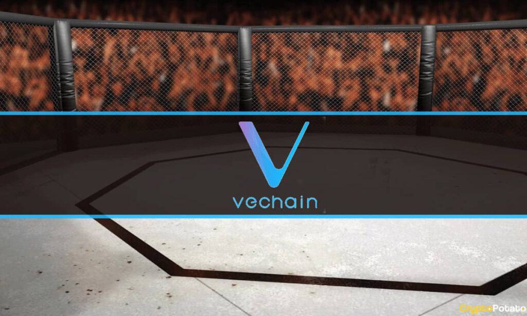 VeChain UFC