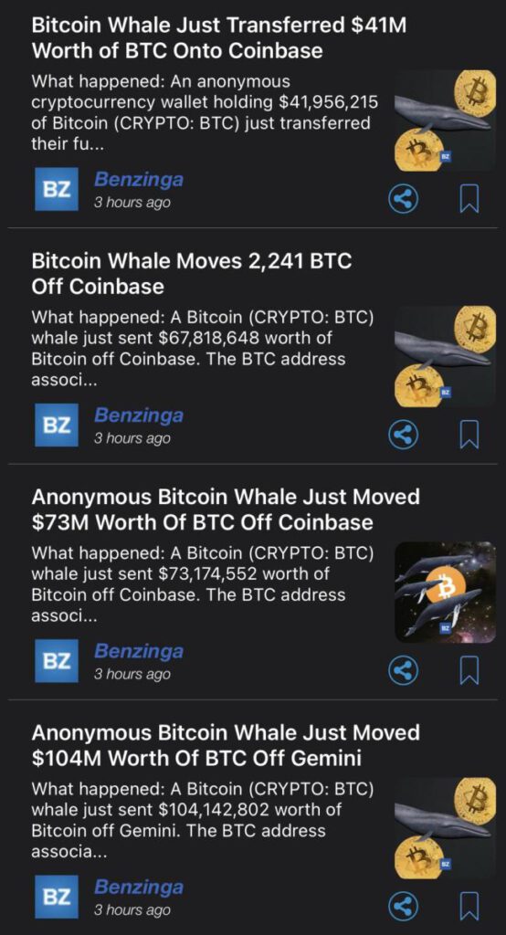 benzinga whale alerts