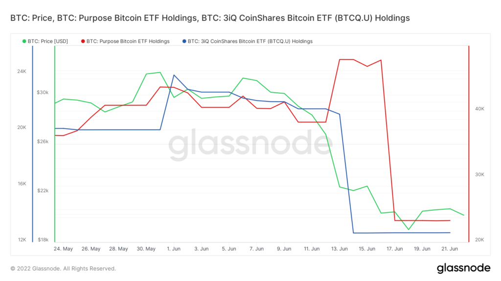 glassnode studio btc price btc purpose bitcoin etf holdings btc 3iq coinshares bitcoin etf btcq u holdings