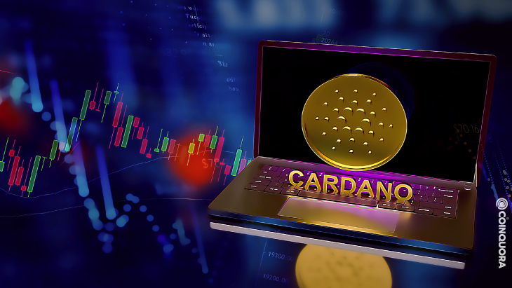 Basho Development Phase Cardano Undergoes Upgrades