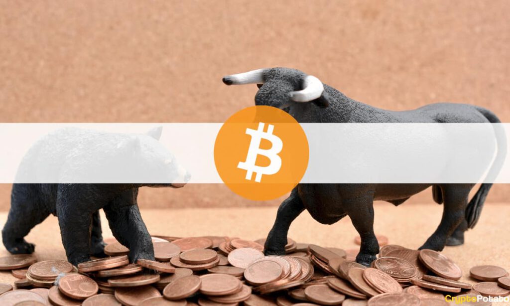 BearVsBullBitcoin