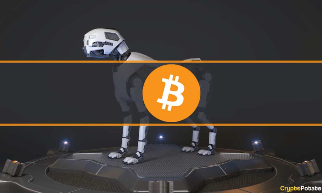 Bitcoin Robot Dogs