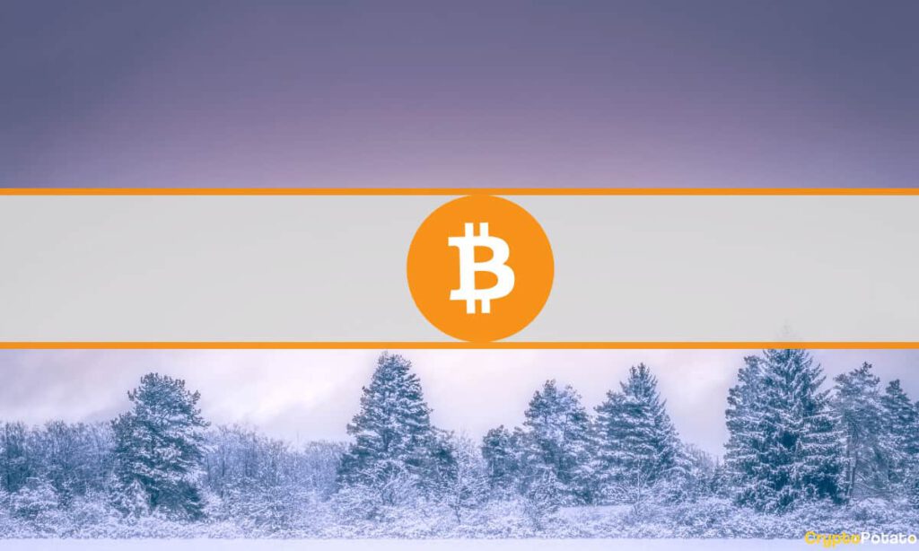 Bitcoin Winter