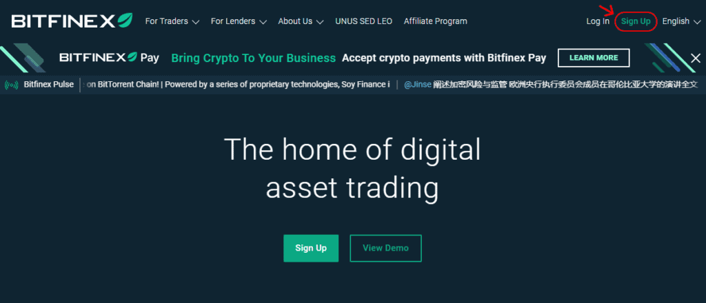 Bitfinex Review – A Platform for Experienced Traders 3 Bitfinex Review Open An Account Step 1