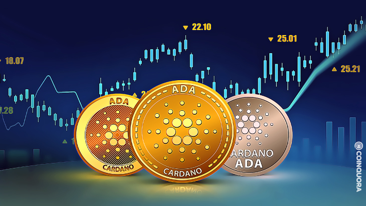 Cardano Monthly wrap up of on chain data