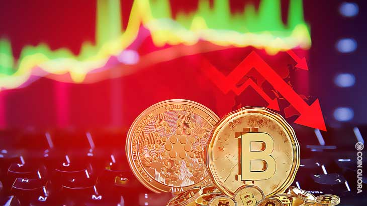 Cardano Bitcoin at Risk of Dropping Further Due to Bearish Flags