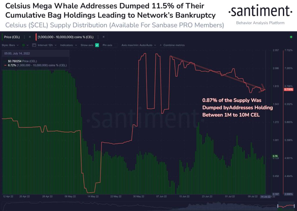 Celsius CEL Whale Supply Distribution