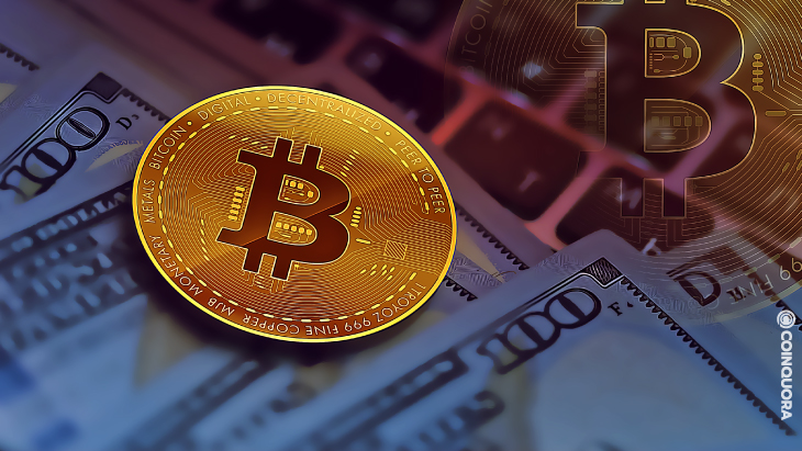 Cryptoverse What crisis Venture capitalists bet big on crypto