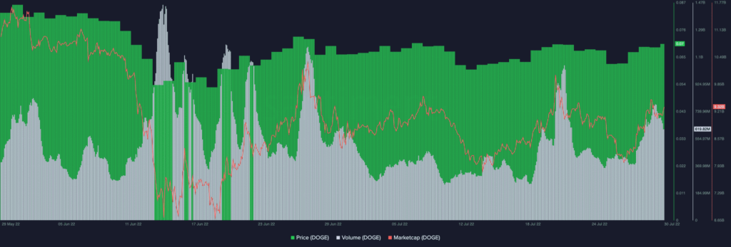 Dogecoin DOGE 09.39.38 30 Jul 2022