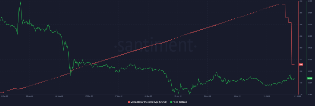 Dogecoin DOGE 12.00.04 22 Jul 2022