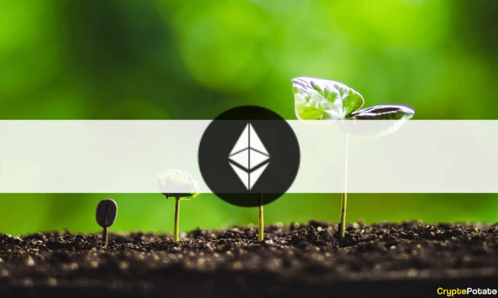 EthereumGrowth