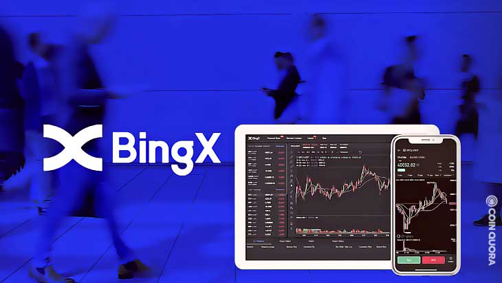 bingx 3