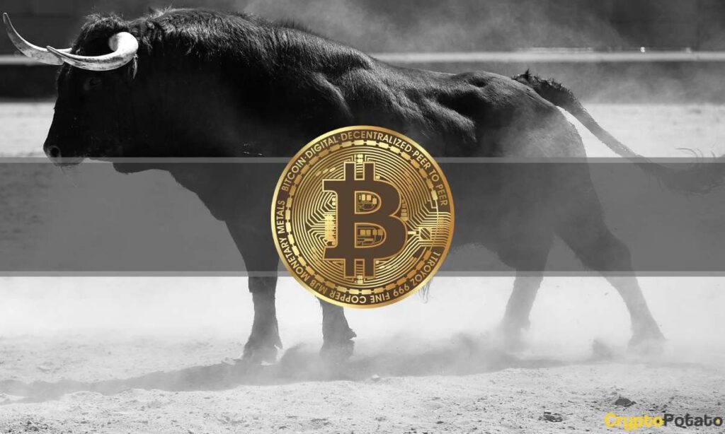 bitcoinbull cover 1