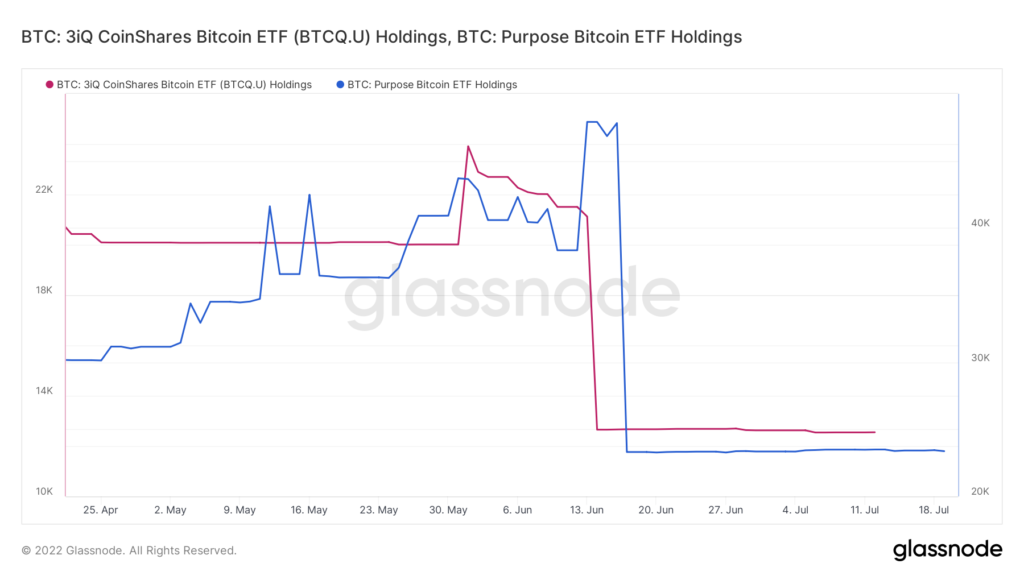 glassnode studio btc 3iq coinshares bitcoin etf btcq u holdings btc purpose bitcoin etf holdings 1