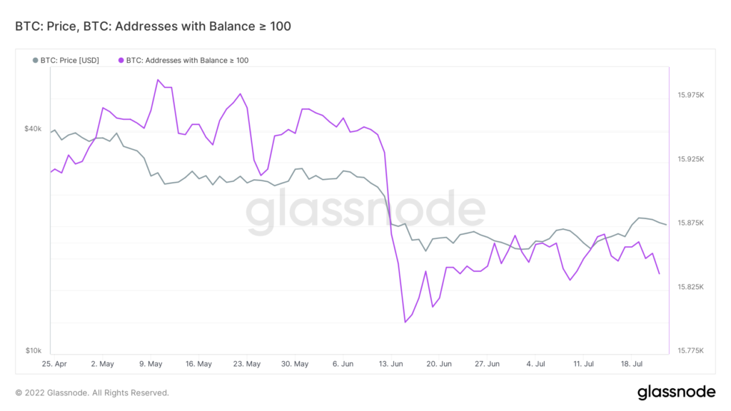 glassnode studio btc price btc addresses with balance 100 1