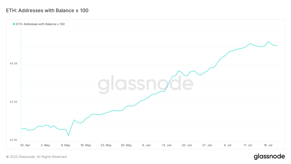 glassnode studio eth addresses with balance 100