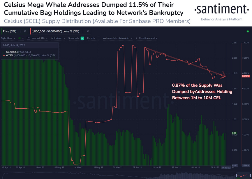 whales