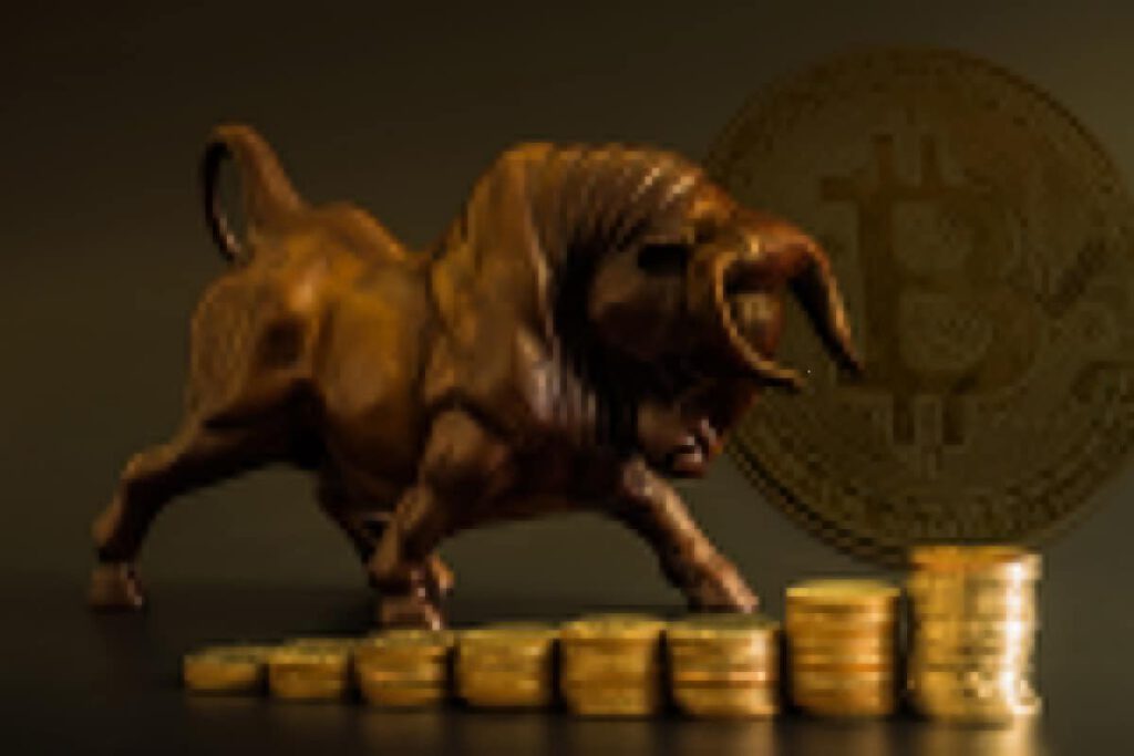 Bitcoin bull